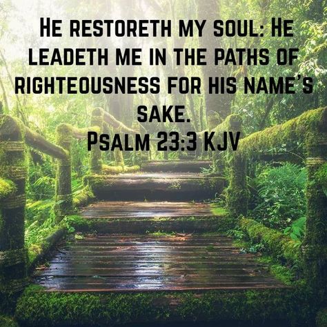 Psalm 23:3 KJV Find peace in the pasture!   The Lord, our shepherd, guides us to soul-calming waters and restores our inner light. ✨ He leads us on righteous paths, a testament to His glorious name. Godly Character, Psalm 23 3, Psalms 23, Life Verses, Seek Peace, Christian Verses, Bible History, Kjv Bible, Site Words