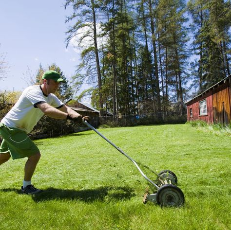 Man pushing manual lawn mower to cut grass Manual Lawn Mower, Reel Lawn Mower, Electric Mower, Reel Mower, Push Mower, Florida Gardening, Gas And Electric, Flowers Garden, Lawn Care