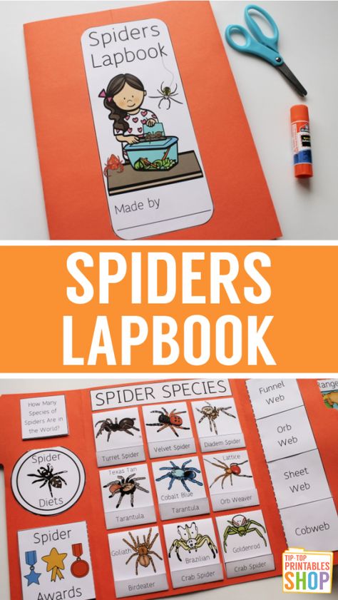 Spider Unit Study, Science Lapbooks, Homeschool Science Lessons, Spider Unit, Lap Book Templates, Flying Creatures, Animal Studies, Second Grade Science, Study Plans