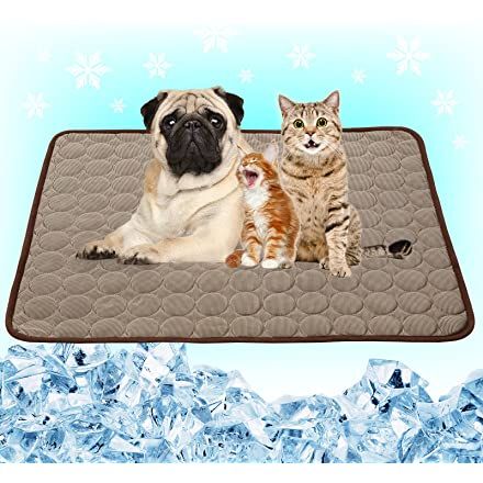 Amazon.com Shopping Cart Dog Cooling Mat, Dog Cooling Pad, Pet Cooling Mat, Outdoor Dog Bed, Cooling Pad, Sleeping Kitten, Cat Cushion, Giant Dogs, Cool Dog Beds