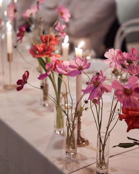 For Shannon + Chris 🌸 In the charming setting of Barragunda, a French brasserie-themed wedding exuded romance and sophistication through its bold colour palette and elegant touches. The venue was adorned with vibrant magenta, fuchsia pink, and cherry red roses, complemented by dahlias and delicate cosmos. The vivid hues created a warm, inviting atmosphere, while gold accents were carefully integrated throughout the decor, adding a touch of opulence and refinement. Planning/styling: @whiteto... Hot Pink Wedding Flowers, Bold Colour Palette, Flower Jars, French Brasserie, Pink Cosmos, Hot Pink Weddings, Red Wedding Flowers, Flowers In Jars, Light Wedding