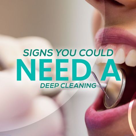 👉Do your gums bleed frequently or are they tender to the touch? 👉Do you notice your breath smells bad, even after brushing? 👉 If so, then you might be in need of a deep cleaning done by professional dentists. 👉We take our deep cleanings very seriously as your mouth, teeth, and gums are directly related to many other areas of your body. Our dentists are skilled in the proper deep cleaning techniques and we always work thoroughly to ensure not a single area in your mouth is left unclean. Deep Teeth Cleaning, Cleaning Techniques, Teeth Cleaning, Brushing, Deep Cleaning, Gum, Signs