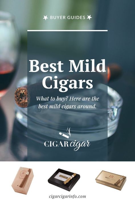 Mild Cigars, Top Cigars, Gentlemens Guide, Cigars And Women, Bourbon Bar, Good Cigars, Pipes And Cigars, Cigars And Whiskey, Better Than Yours