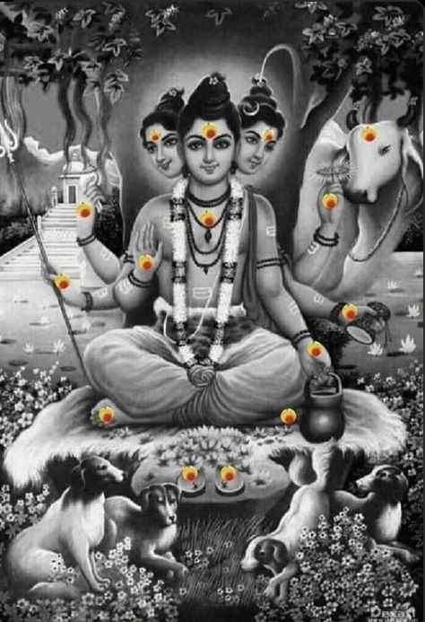 Gurudev Datta Hd Images, Guru Dev Datta Hd Wallpaper, Dattatreya Swamy Images, Shri Dattaguru Hd, Gurudatta Images Hd, Guru Dattatreya Hd Images, Lord Dattatreya Hd Images, Dutta Guru Hd Wallpaper, Dattaguru Images