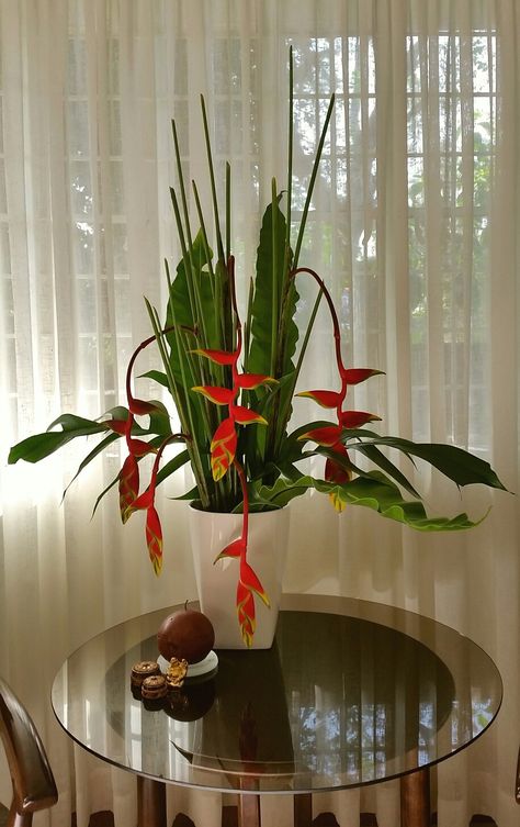 Birds of Paradise / Heliconia Rostrata / Hanging Lobster Claw Hanging Heliconia Arrangement, Bird Of Paradise Flower Arrangement, Bird Of Paradise Floral Arrangement, Birds Of Paradise Arrangement, Red Tropical Flower Arrangements, Rose Arrangements, Table Vases, Flower Decor, Birds Of Paradise