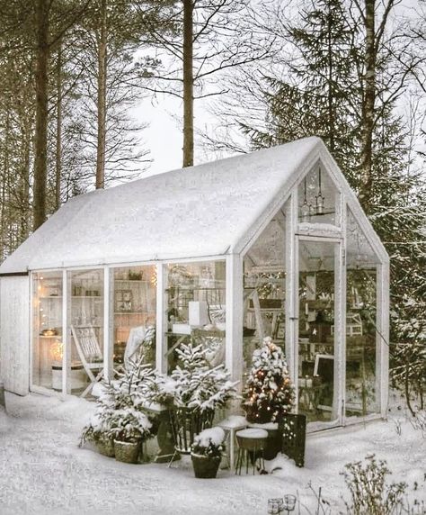 Greenhouse She Shed, Old Window Greenhouse, Window Greenhouse, Winter Greenhouse, Greenhouse Shed, Barn Style House Plans, Backyard Greenhouse, Diy Greenhouse, Porch Garden