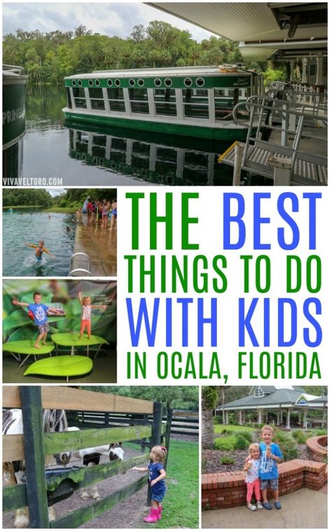 Things To Do In Florida With Kids, Things To Do In Ocala Florida, Ocala Florida Things To Do, Vacation 2023, Travel Kids, Kids Fever, Ocala Florida, Traveling With Kids, North Florida