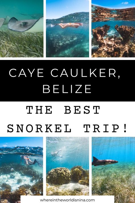 Belize Snorkeling, Travel Belize, Caye Caulker Belize, Belize Beach, Travel Caribbean, Belize Resorts, Caye Caulker, Ambergris Caye, Belize City