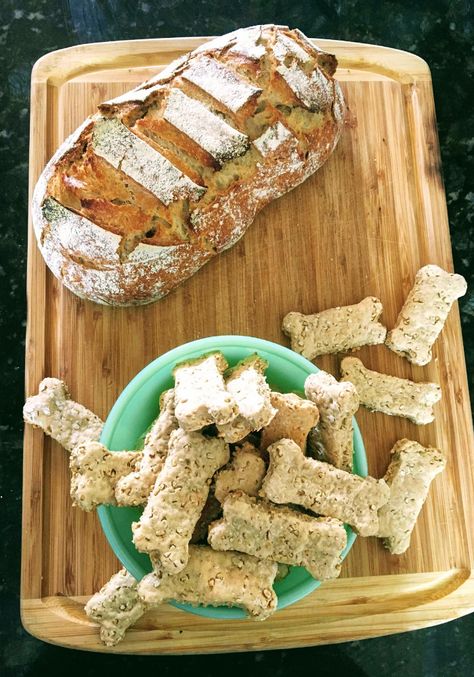 Sourdough Dog Treats - Sourdough Dog Treat Recipe - Dining Alfresco Dog Treats With Oats, Treats With Oats, Easy Sourdough Starter, Pet Snacks, Dog Treat Recipe, Dog Treats Homemade Easy, Sourdough Starter Discard Recipe, Easy Sourdough, Dog Biscuit Recipes