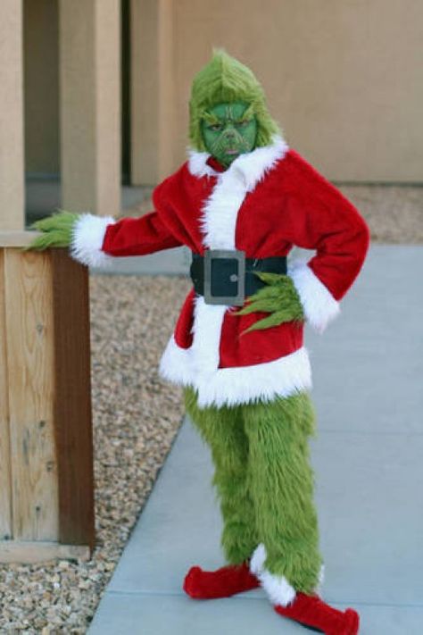 grinch costumes for adults | Cool Grinch Costumes and Masks Kids Grinch Costume, Christmas Costumes Diy, Grinch Costume, Grinch Halloween, Seussical Costumes, Christmas Costumes Women, Grinch Costumes, Grinch Christmas Party, Whoville Christmas