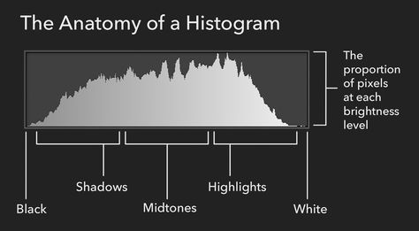 Photography Histogram, Histogram Photography, Manual Photography, Photography Cheat Sheets, Photo Techniques, Photography 101, Photography Lessons, White Picture, Flash Photography