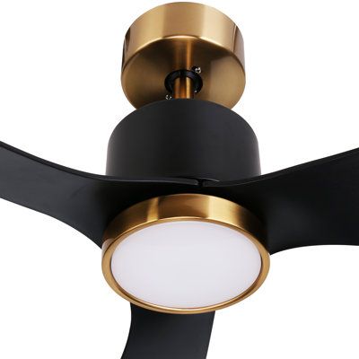 Simple and modern appearance, classic color scheme, two-color option, timing function, six-speed shift, maximum speed up to 180 RPM, Reversible DC motor (Reversible DC motor) convenient and fast with remote control. Finish: Black | Everly Quinn Miajah Ceiling Fan w / Light Kit w / Remote Control & Light Kit Included in Black | Wayfair Propeller Ceiling Fan, Remote Control Light, Inspire Me Home Decor, Ceiling Fan With Remote, Dc Motor, Modern Ceiling, Everly Quinn, Fan Light, Ceiling Fan With Light