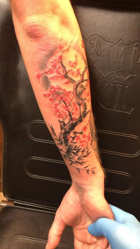 Cherry Blossom Tattoo Men, Japanese Tattoo Cherry Blossom, Bonsai Tattoo, Japanese Forearm Tattoo, Word Tattoos On Arm, Cherry Tree Tattoos, Cherry Blossom Tree Tattoo, Tree Tattoo Forearm, Tree Tattoo Arm