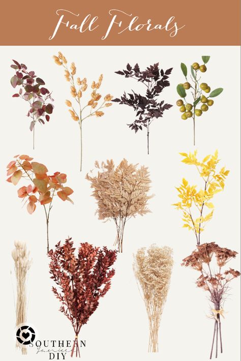 Fall Decor Neutral, Fall Centerpiece Ideas, Neutral Fall Decor, Home Decor Fall, Fall Florals, Centerpiece Ideas, Flower Arranging, Fall Plants, Best Blogs