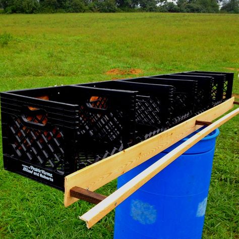 Chicken Nesting Box Ideas, Nesting Box Ideas, Nesting Boxes For Chickens, Chicken Brooder, Owner Builder, Chicken Nesting Boxes, Chicken Pen, Chicken Tractors, Chicken Coup