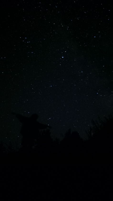 Starry Night Aesthetic, Starry Sky Wallpaper, Sky Wallpaper Aesthetic, Starry Forest, Comets And Asteroids, Stars Night Sky, Forest Summer, Star Lights, Night Stars