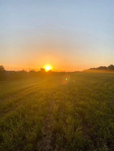 Sunset Garden Aesthetic, Sunsets In Fields, Sunset Feild Pic, Cornfield Aesthetic, Open Field Aesthetic, Sunrise Field, Padang Rumput, Aesthetic Field, Symmetry Photography