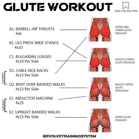 Glutes Target Areas, Building Lower Glutes, Glutes Anatomy Muscle, Gluteal Muscles Exercise, Glute Workout Target Areas, Targeting Different Glute Muscles, Different Glute Muscles Target, Glute Targeting Exercises, Glute Muscles Exercises