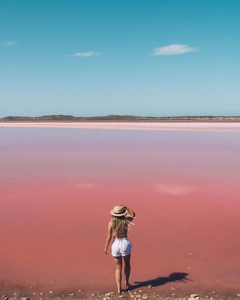 Coral Coast, Western Australia on Instagram: “Pastel perfect pink lake 💕 Hutt Lagoon varies in colour across the year, ranging from hot pink to washed-out red, to lavender and pastel…” Pink Lake Western Australia, Hutt Lagoon, Road Trip Australia, Torrevieja Spain, Pink Lake, Lake Trip, Australia Map, Perfect Pink, Australia Travel