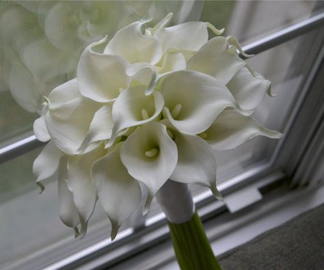 Creamy White Real Touch Calla Lily Bouquet by blueorchidcreations, $95.00 Calla Bouquet, Calla Lillies Bouquet, White Calla Lily Bouquet, Calla Lily Wedding, Calla Lily Flowers, Calla Lily Bouquet, Amazing Finds, Wedding Bouquets Pink, Lily Wedding