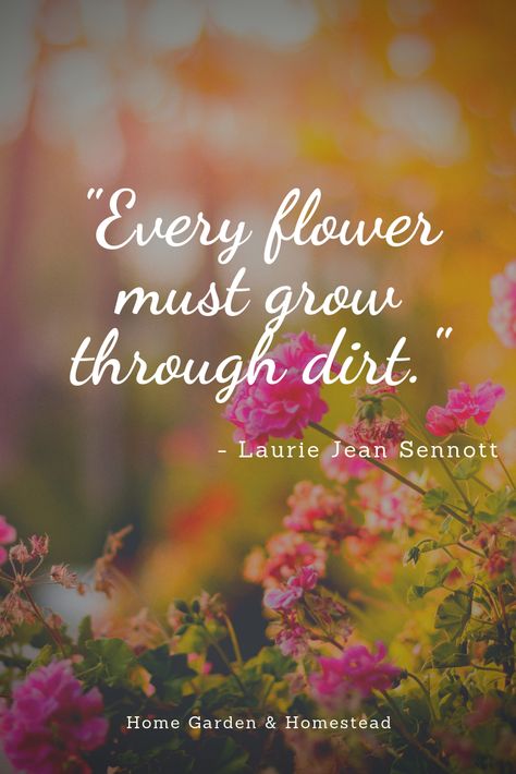 Stream Quotes, Gifts For Gardeners, Mommy Quotes, Inspirational Words Of Wisdom, Best Friendship Quotes, Wife Quotes, Garden Quotes, Inspirational Bible Quotes, Mom Quotes