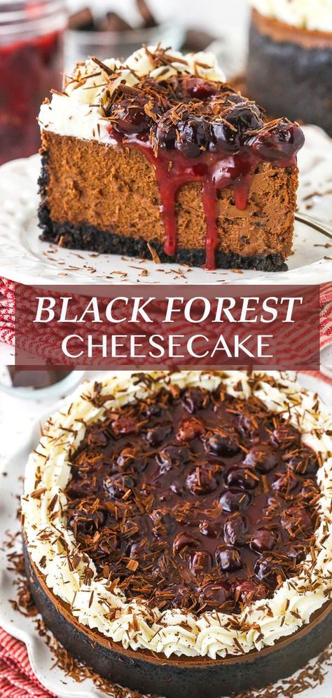 Black Forest Art, Fruit Cheesecake Recipes, Black Forest No Bake Cheesecake, Cheesecake Decorating Ideas, Cherry Cheesecake Recipes, Mini Black Forest Cheesecake, Fancy Cheesecake, Black Forest Cheesecake Recipe, Black Forest Cherry Cheesecake