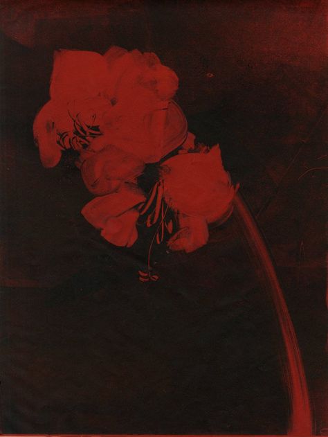 Billy Kidd, Cinema Art, 인물 사진, Red Aesthetic, Red Flower, Aesthetic Photo, Dark Aesthetic, Pretty Pictures, Aesthetic Art