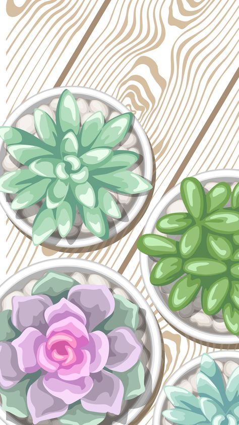 Chic Iphone Wallpaper, Wallpaper Cactus, May Wallpaper, Succulents Wallpaper, Cactus Wallpaper, Plants Wallpaper, Cheetah Print Wallpaper, 귀여운 음식 그림, Instagram Highlight Cover