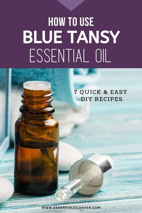 Learn how Blue Tansy essential oil can benefit your health and well-being. Use these 7 quick & easy recipes to get started with Blue Tansy oil in your DIY routines. #essentialoils #bluetansy #diy #recipes #homeremedies Blue Tansy Essential Oil, Bath Stuff, Blue Tansy, Bergamot Oil, Essential Oil Benefits, Plant Therapy, Essential Oil Diffuser Blends, Oil Diffuser Blends, Oil Benefits