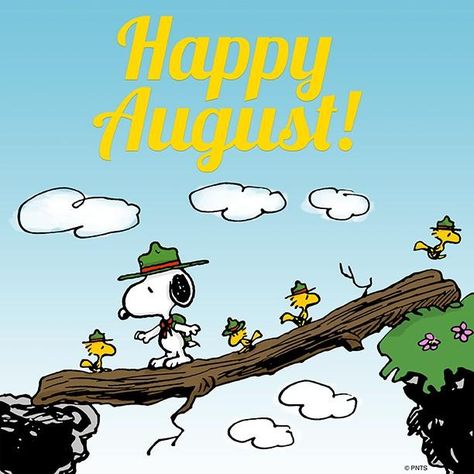 Happy August        Peanuts  ☀️Woodstock <3  Snoopy Snoopy Beagle, Happy August, Hello August, Peanuts Comic Strip, Peanuts Cartoon, Slaap Lekker, Snoopy Quotes, Snoopy Pictures, Joe Cool