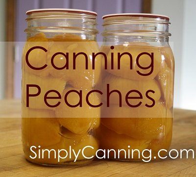 Does anything beat picking a peach fresh off the tree and eating it right there? Home canning peaches enables you to have that fresh taste year round. Canning Peaches Recipes, How To Can Peaches, Can Peaches, Harvest Ideas, Preserving Recipes, Food Canning, Easy Canning, Canning Peaches, Canning 101