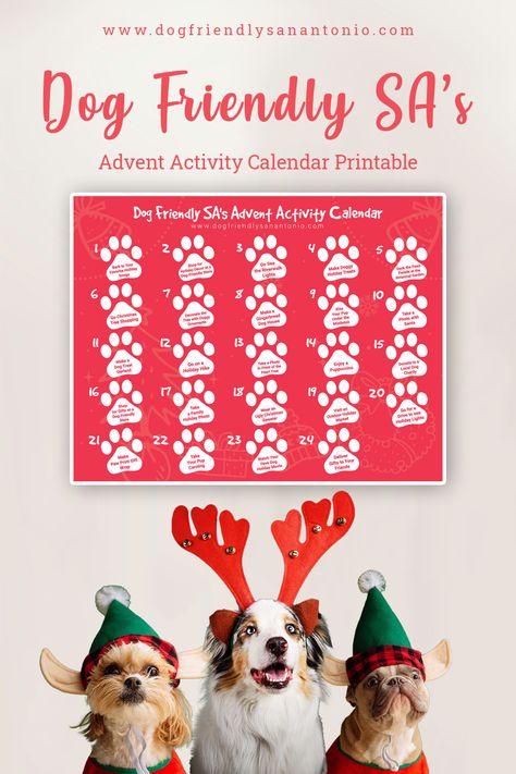 Count down to Santa Paws with this free dog advent calendar printable. How To Make A Dog Advent Calendar, Advent Calendar For Dogs, Dog Advent Calendar Diy, Fun Dog Photos, Cat Advent Calendar, Christmas Dog Photography, Best Christmas Gift Baskets, Dog Advent Calendar, Dog Christmas Photos