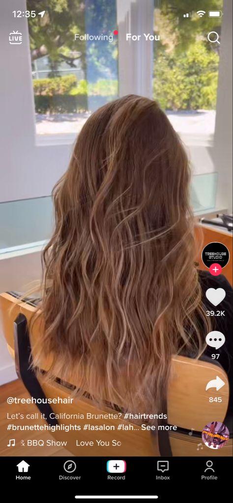 California Blonde, Light Brunette Hair, California Hair, Brown Hair Inspo, Brunette Hair With Highlights, Brown Hair Balayage, Hair Icon, Queen Hair, Brown Blonde Hair