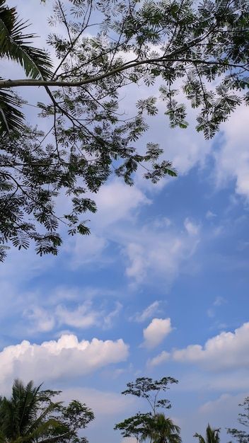 A clear blue sky with clouds | Premium Photo #Freepik #photo #blue-sky #sky-view #blue-cloud #summer-sky Clouds Astethic, Sky Blue Aesthetic, Blue Sky Aesthetic, Sky Clouds Aesthetic, Blue Sky Images, Blue Sky With Clouds, Birthday Clip, Sky With Clouds, Sky Gif