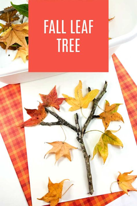 Fall Leaf Tree, Fall Tree Craft, Leaf Craft, Autumn Leaves Craft, Easy Toddler Crafts, Nature Craft, Fall Activity, Thanksgiving Activities For Kids, Fall Nature