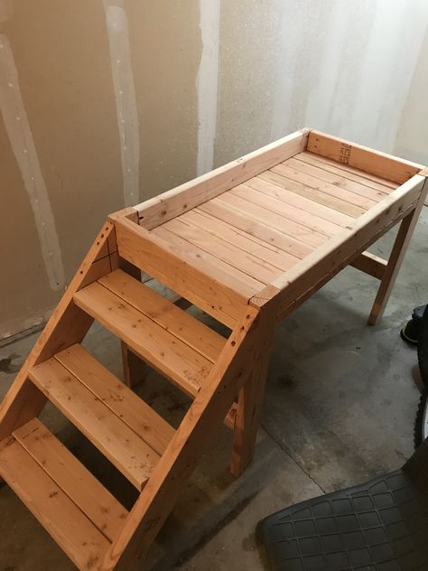 Beds Homemade, Dog Window Seat, Diy Elevated Dog Bed, Dog Bunk Beds, Stairs Diy, Cat Projects, Raised Dog Beds, Wooden Dog Bed, Dog Window