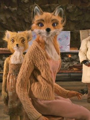 Fantastic Mr Fox Characters, Fantastic Mr Fox Movie, Fox Character, Fantastic Fox, Fox Man, Wes Anderson Movies, Wes Anderson Films, Fox Dress, Fox Lover