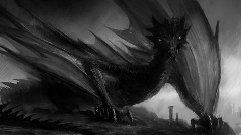 Shadow dragon Black And White Dragon Art, Black Wyvern Art, Black Dragon Aesthetic, Black Wyvern, Dragon Concept Art, Dragon Wallpapers, Black And White Dragon, Dragon Shifter, Dragon Concept