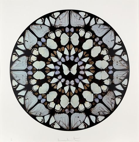 Damien Hirst Butterfly, Damien Hirst, Art Buyer, British Artist, Unframed Art, Giclee Art, Contemporary Artists, Art For Sale, Fine Art Paper