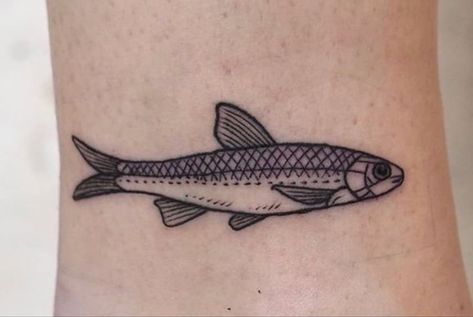 Pretty Tattoo, Ink Sketch, Pretty Tattoos, Fish Tattoos, Jesus Fish Tattoo, Tatting, Fish, Tattoos