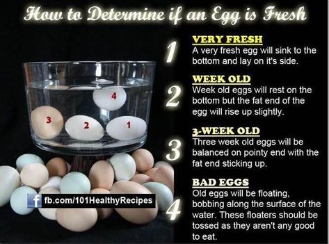 Do you know how to tell if an egg is still fresh? If not, use this as a guide going forward. If the egg floats in water, it's not good to eat. Egg Test, Bad Eggs, Cooking Photos, Cooking Guide, Food Info, Making Life Easier, Food Facts, Fresh Eggs, An Egg