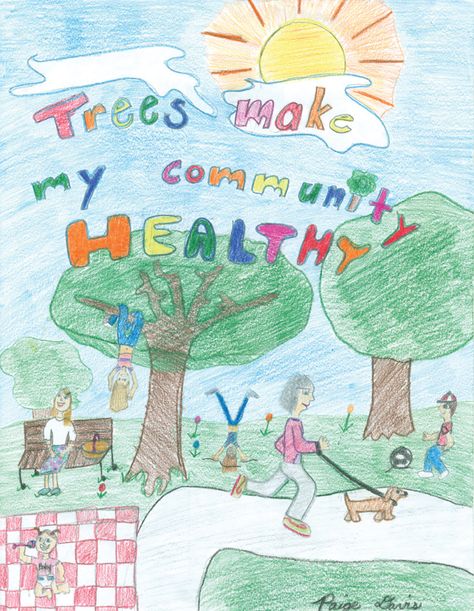 Healthy Community Poster, Community Poster, Healthy Community, My Community, Amazing Race, Contest Winner, 4th Grade, Poster Making, Arbor