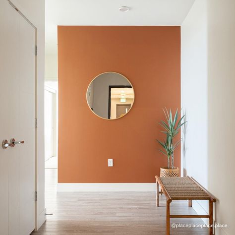 Terra Cotta Paint Color, Orange Accent Walls, Earthy Terracotta, Terracotta Paint, Ghost Ranch, Color Terracota, Accent Wall Colors, Room Wall Colors, Organic Compounds