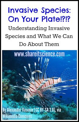 Invasive Species Social Studies For Kids, Wildlife Biology, Ap Environmental Science, Study Chemistry, Science Stem, Environmental Degradation, Ap Biology, 6th Grade Science, Grade 10