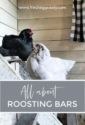 How To Make Roosting Bars, Chicken Coop Roosting Bars Ideas, Chicken Coop Roosting Ideas Diy, Roosting Bar Ideas, Roosting Bars For Chickens Small Coop, Chicken Roosting Bars Ideas, Chicken Roost Ideas For Small Coop, Chicken Roost Ideas, Inside Chicken Coop