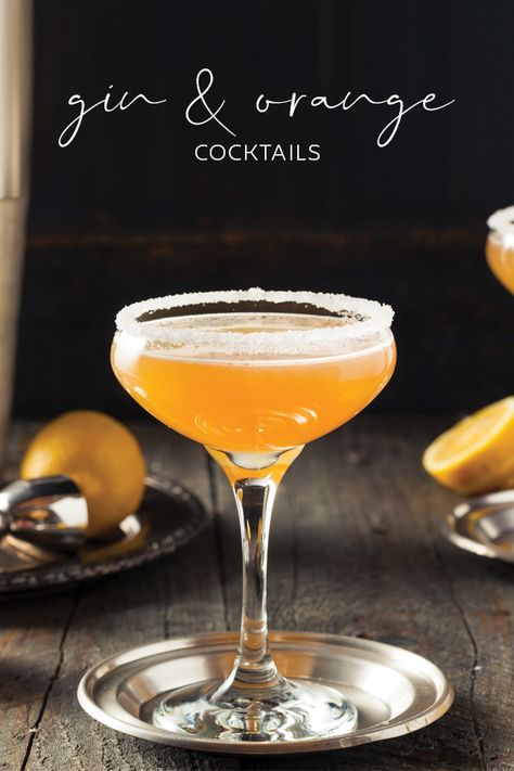 Orange Cocktail Recipes, Orange Juice Cocktails, Gin Sour, Orange Cocktail, Gin Recipes, Orange Cocktails, Best Gin, Gin Cocktail Recipes, Craft Gin