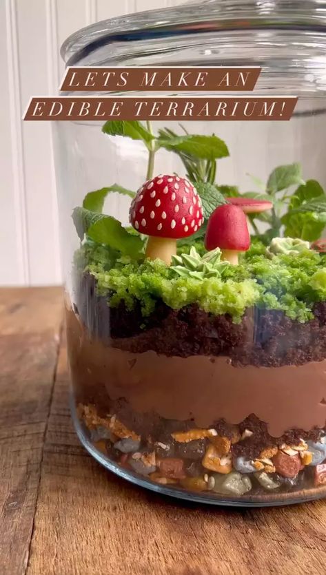 How to Make an Edible Terrarium by mustloveherbs | Quick & Easy Recipe | The Feedfeed Edible Terrarium, Terraria Cake, Mushroom Cake, Chocolate Rocks, Swirled Bread, Cute Baking, Follow Button, Chocolate Pudding, Cake Decorating Tips