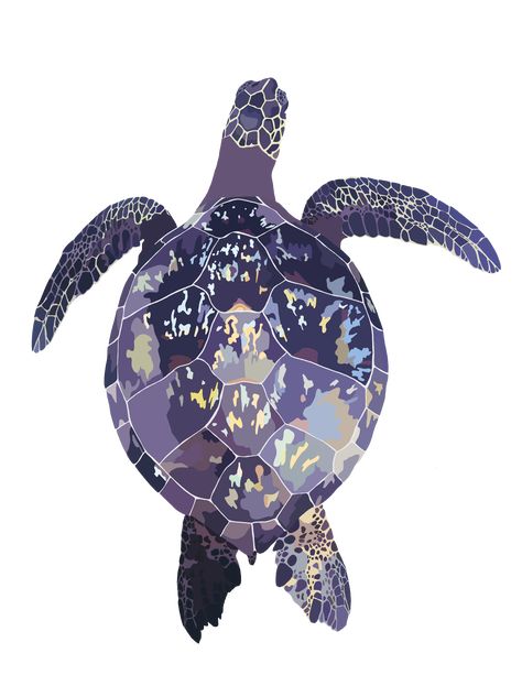 #seaturtle #purpleturtle #turtle #seaturtleart #art #turtledrawing #underwater #redbubble Purple Sea Turtle Tattoo, Purple Turtle, Turtle Drawing, Sea Turtle Art, Background Pictures, Ocean Art, Sea Turtle, Christmas Bulbs, Novelty Christmas