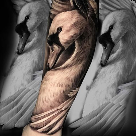 Swan Leg Tattoo, Swan Tattoo For Men, Swan Tattoo Men, White Swan Tattoo, Swan Tattoo Design, Tattoo Swan, Mom Baby Tattoo, Animal Stencils, Loyalty Tattoo