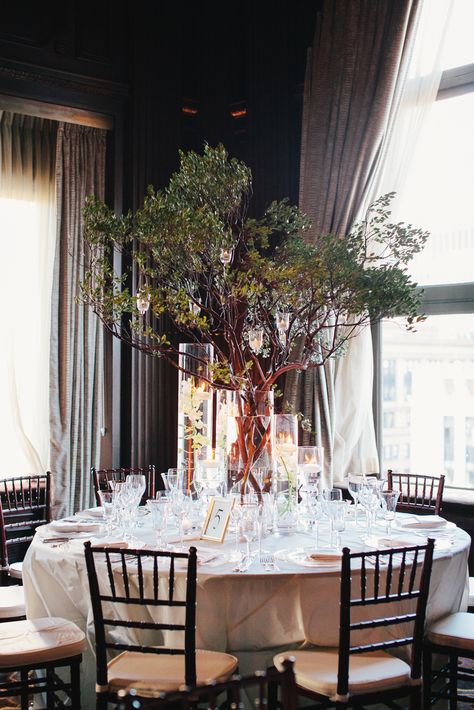 C017c696 27ea 11e4 843f 22000aa61a3e~rs 729 Tree Wedding Centerpieces, Greenery Wedding Centerpieces, Lotr Wedding, Branch Centerpieces, Beautiful Wedding Reception, Tree Centerpieces, Fantasy Wedding, Mod Wedding, Glamorous Wedding